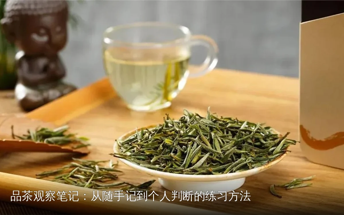 品茶观察笔记:从随手记到个人判断的练习方法