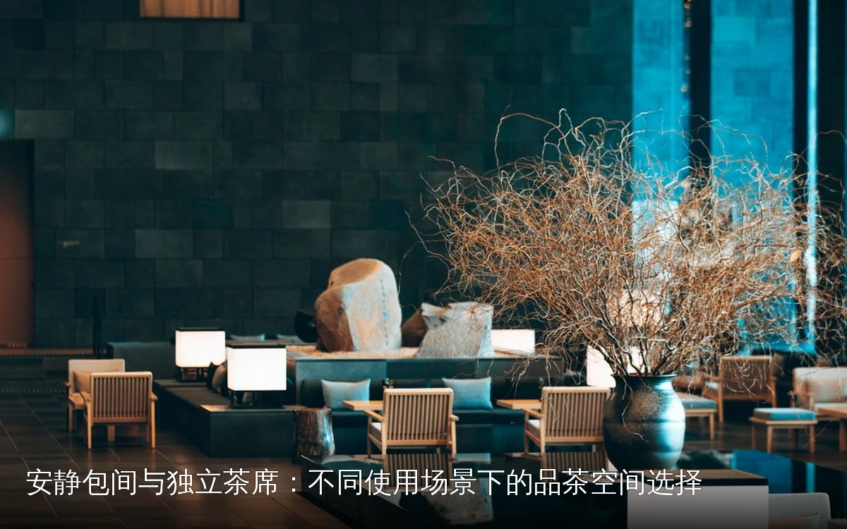 安静包间与独立茶席:不同使用场景下的品茶空间选择