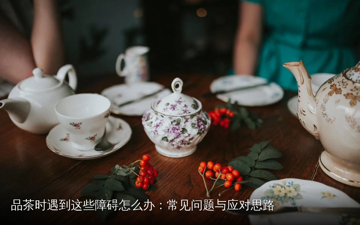 品茶时遇到这些障碍怎么办:常见问题与应对思路